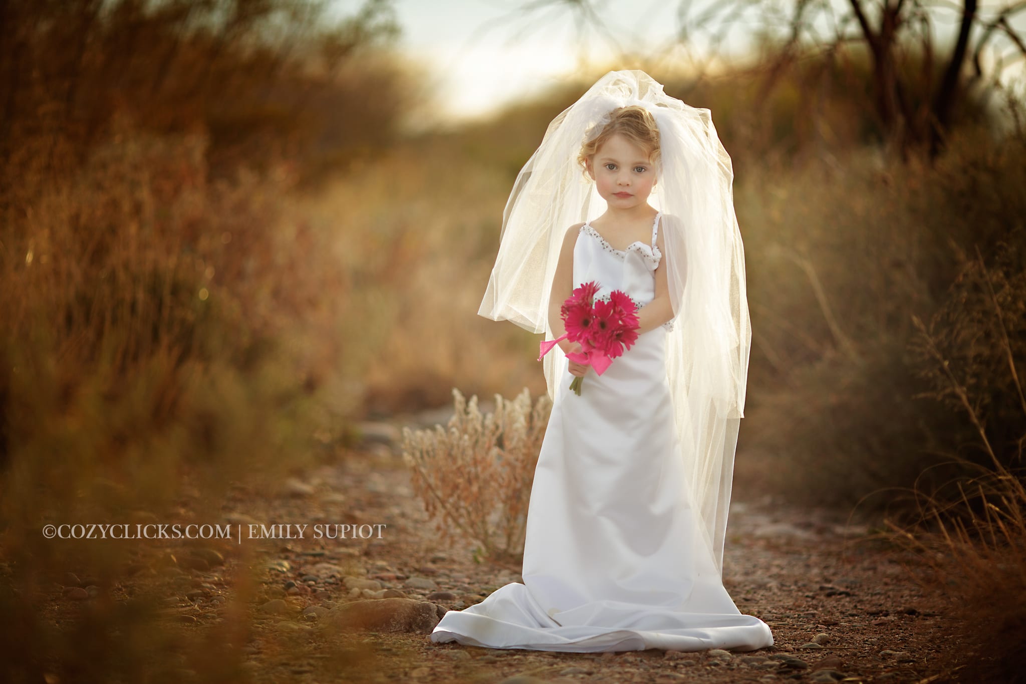 Phoenix Children s Photographer Wedding Dress Up 15 Cozy Clicks Photography Phoenix Family