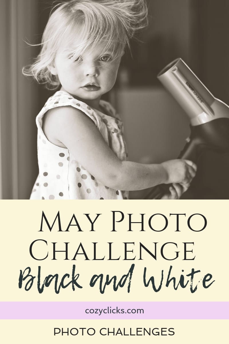 Black and White Photo Challenge with Cozy Clicks