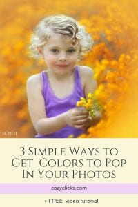 3 Simple Ways to Get Colors to Pop In Your Photos