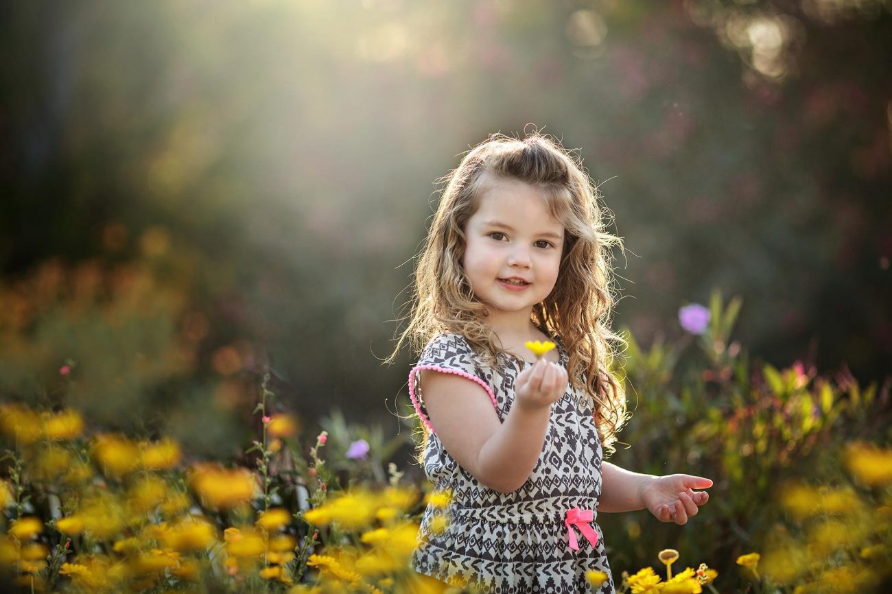 Toddler girl picks wildflowers in portrait in Chandler, Arizona Spots for Spring Pictures in Phoenix