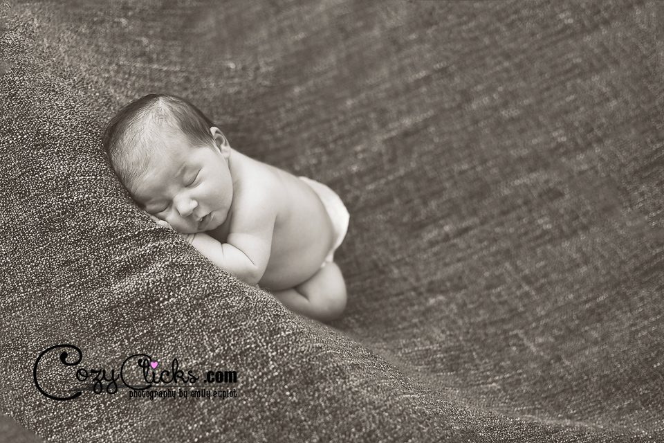 Phoenix newborn Photographer