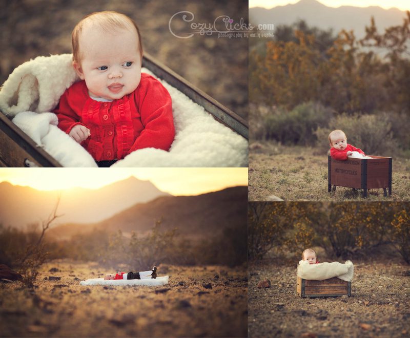 3 month old photography in the Phoenix desert