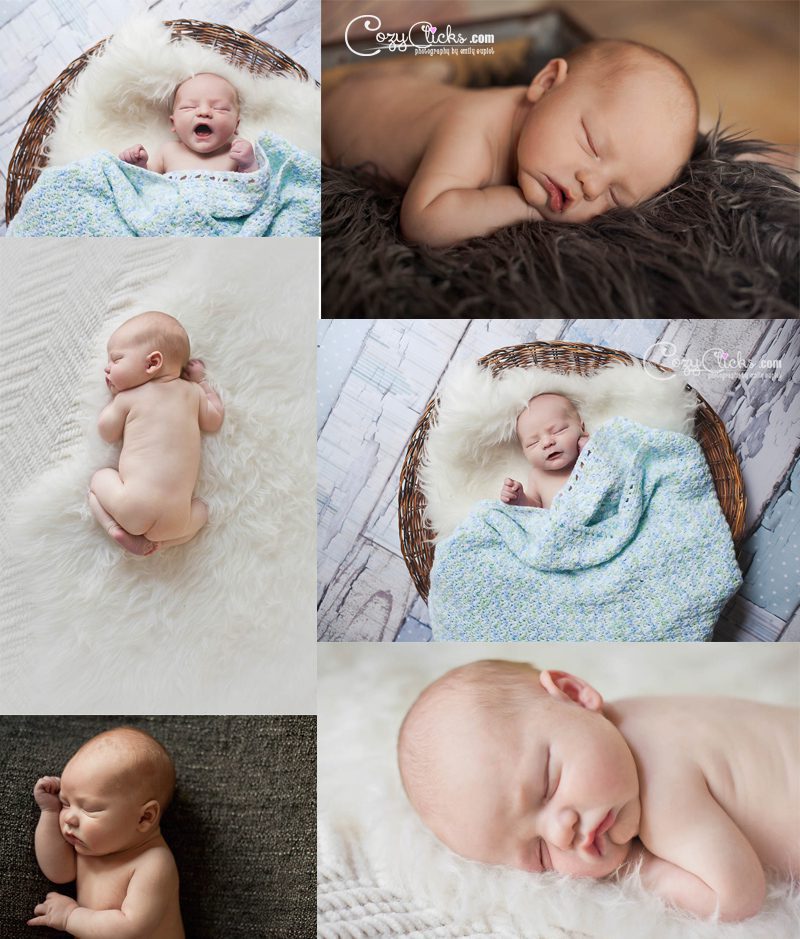 newborn studio photos in Phoenix
