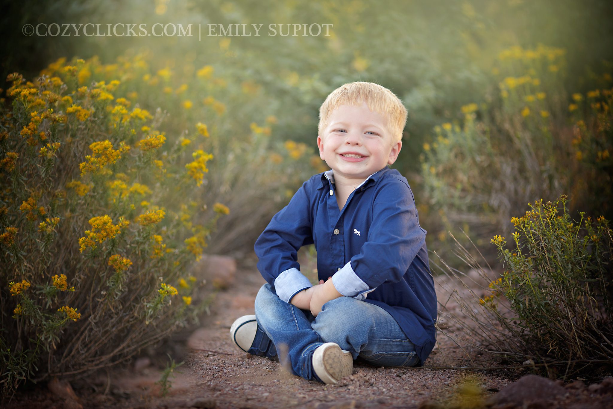 Phoenix family photographer at superstition mountains  desert photography
