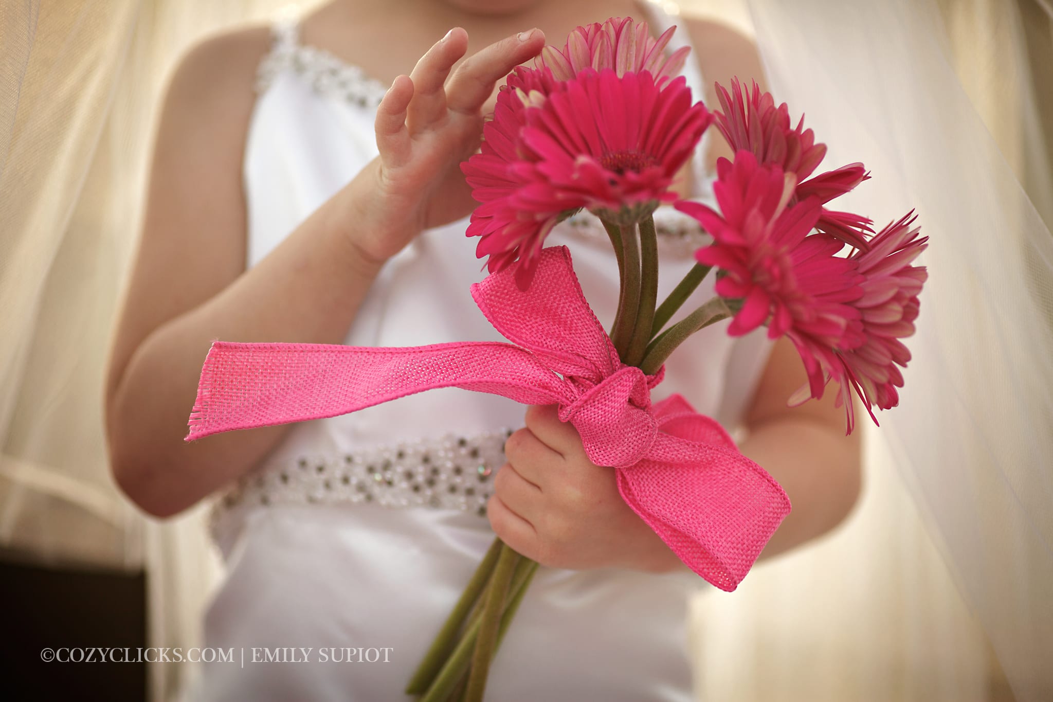 Phoenix Children's Photographer Wedding Dress Up (11)