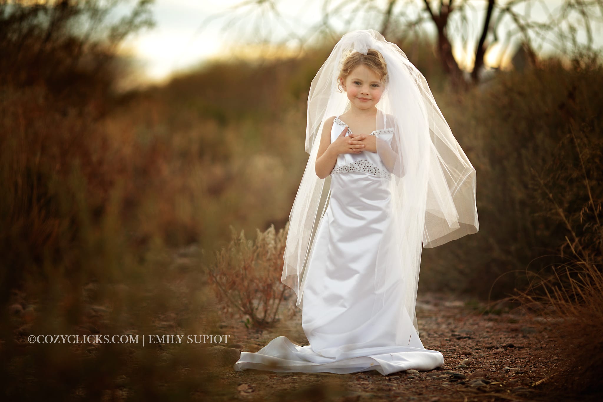 Phoenix Children's Photographer Wedding Dress Up (3)
