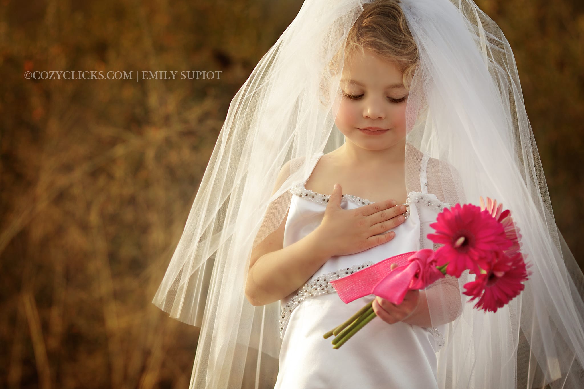 Phoenix Children's Photographer Wedding Dress Up (39)