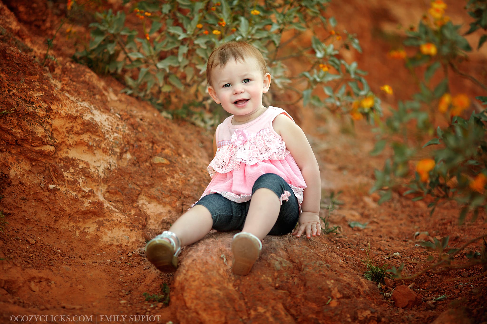 Toddler Children's Portrait taken in Phoenix with a red rock background and Arizona wildflowers