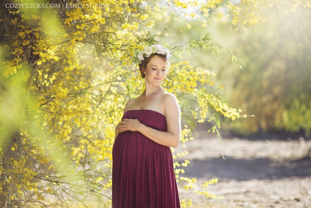 Pregnancy photo with gown and flower crown in yellow floers by the Rio Salado Audubon Center