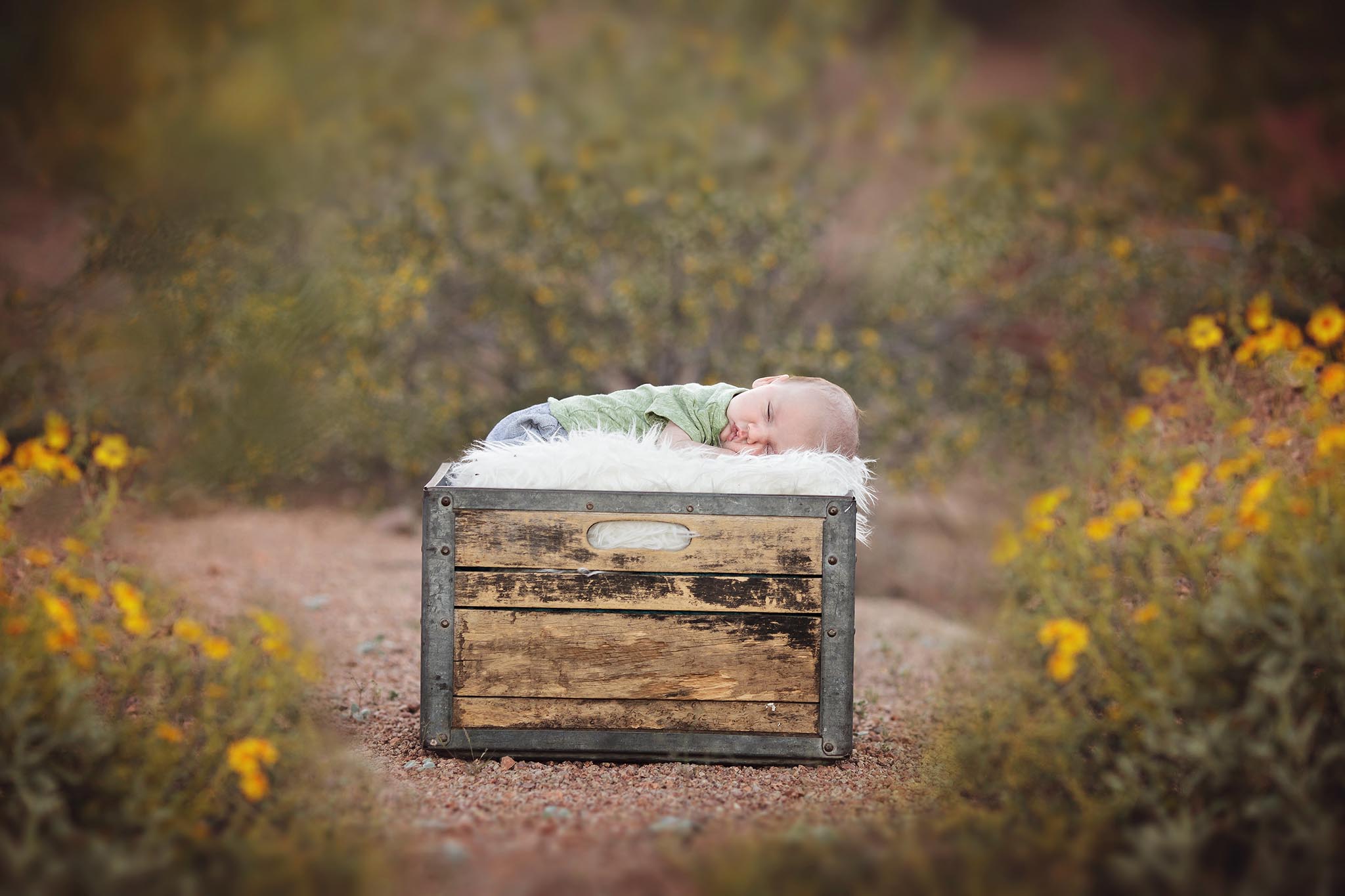outdoor newborn photography at Papago Park in Phoenix Arizona