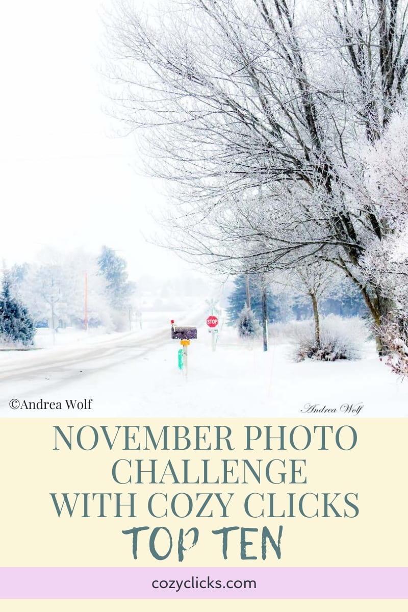 November Photo Challenge with Cozy Clicks: Top 10 COLD